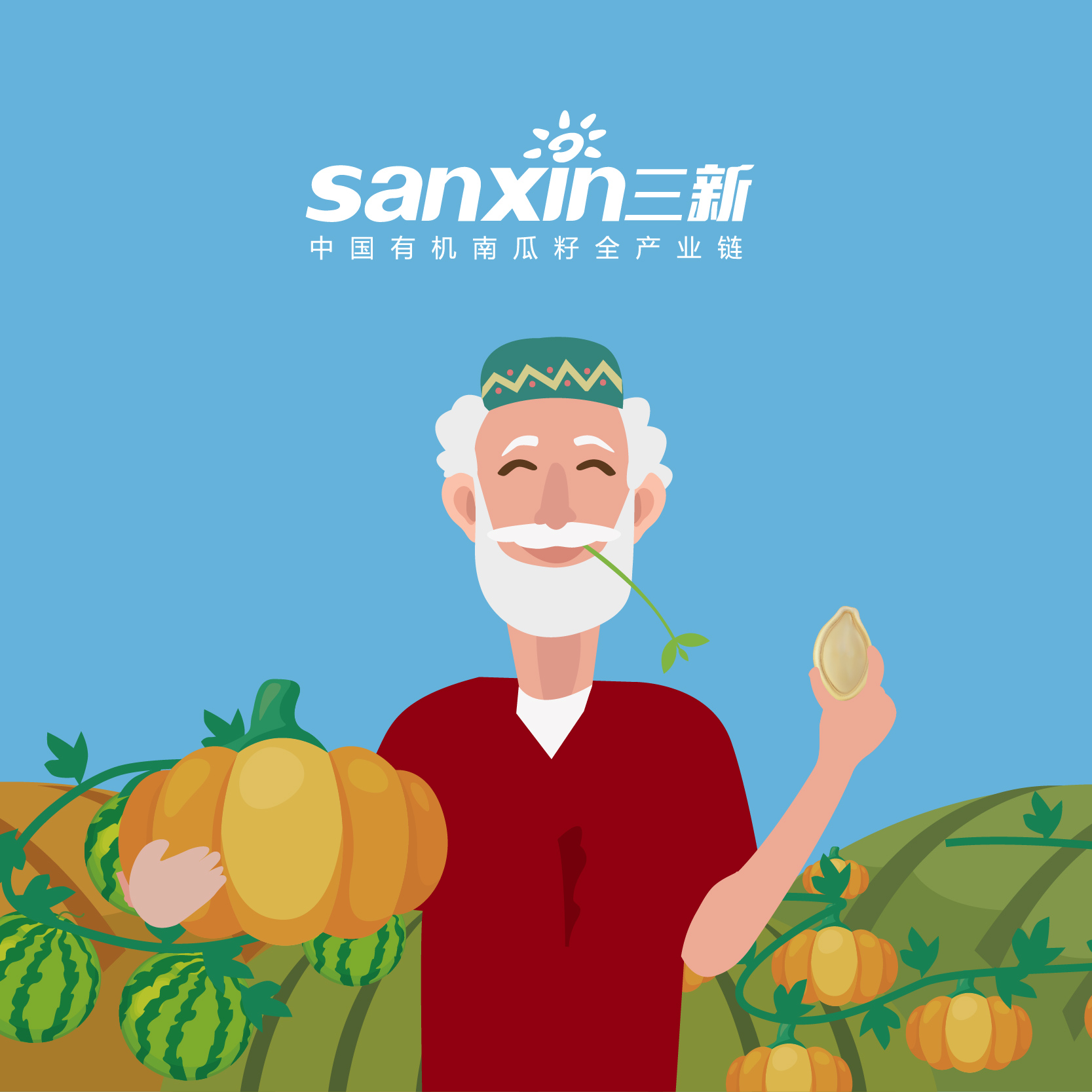 新疆三新南瓜籽產業品牌全案策劃